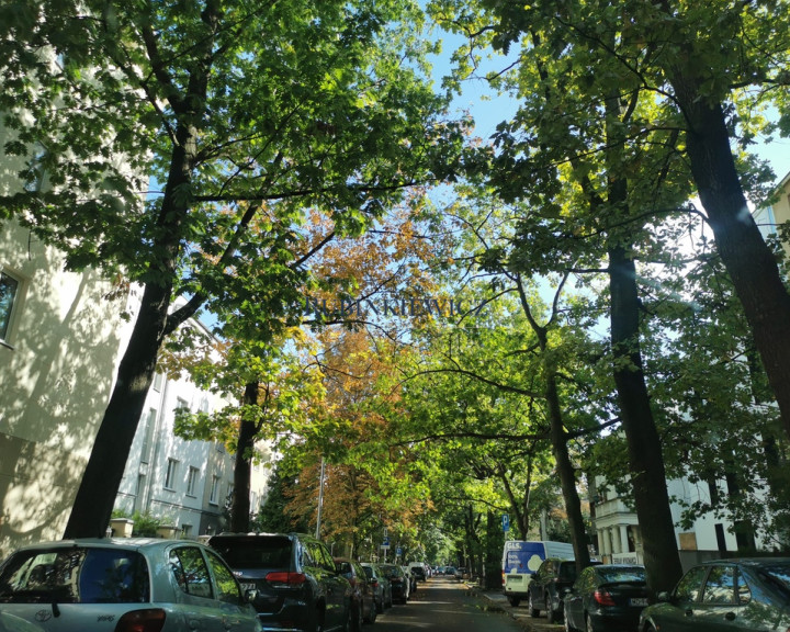 Mieszkanie Wynajem Warszawa Mokotów Kielecka
